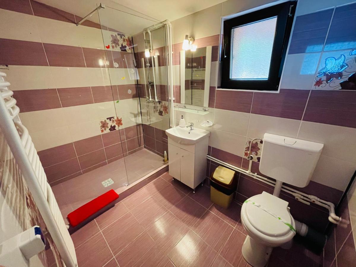 Casa Camelia Hotel Dunatölgyes Kültér fotó