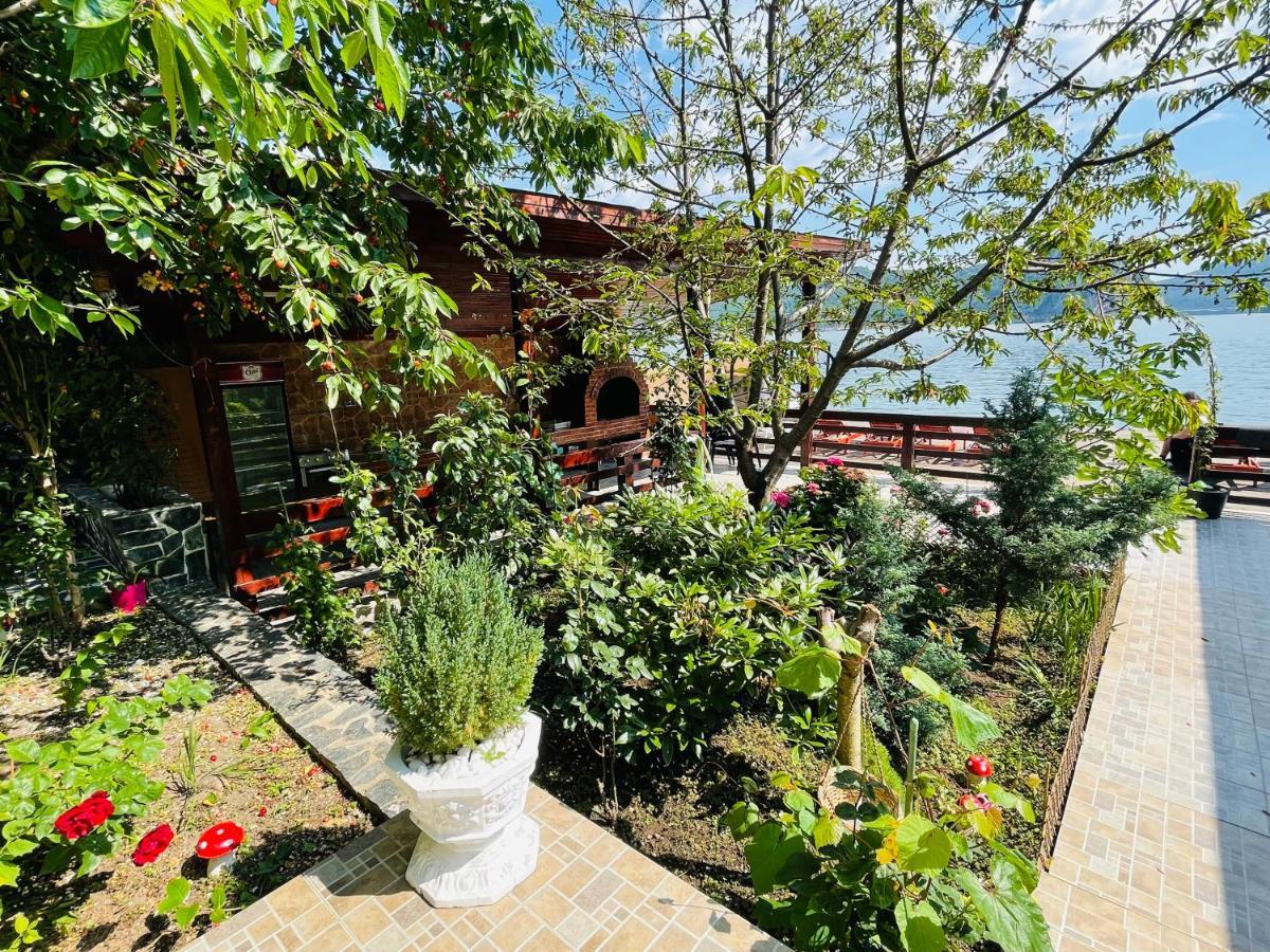 Casa Camelia Hotel Dunatölgyes Kültér fotó