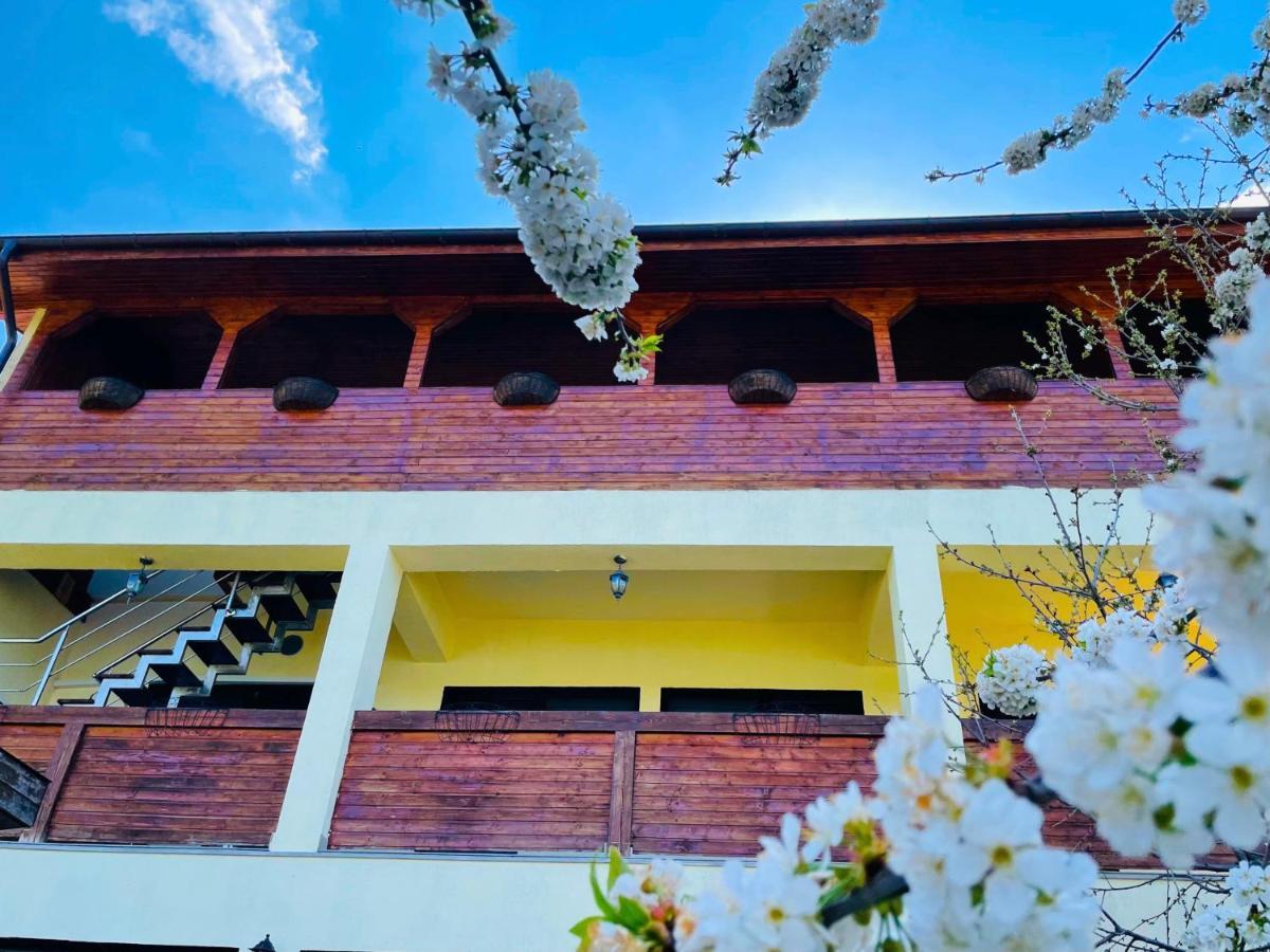 Casa Camelia Hotel Dunatölgyes Kültér fotó